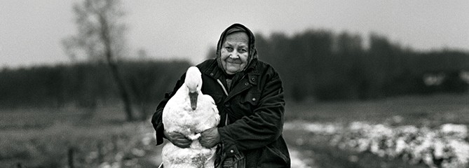 copyrightPANCZUK Adam Karczeby670 copyrightPANCZUK Adam Karczeby670