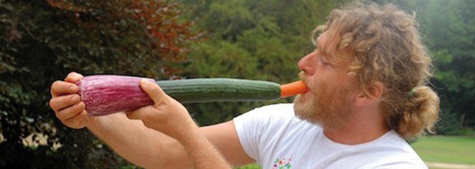 evolplay670 evolplay670